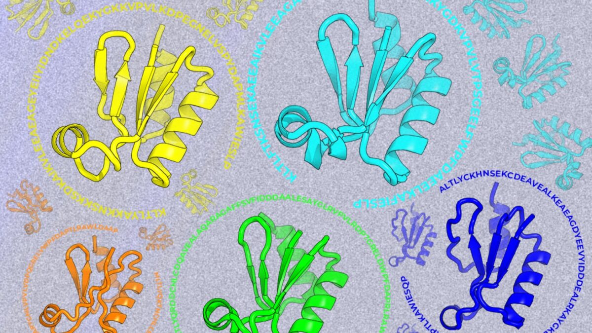 Looking beyond natural sequences | MIT News