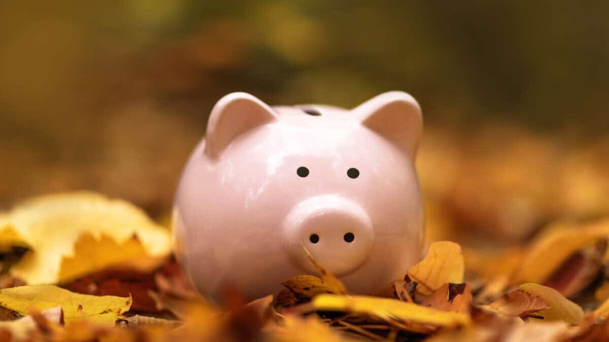 Piggy bank in autumn leaves